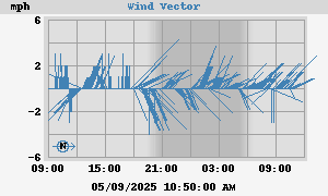 Wind Vector